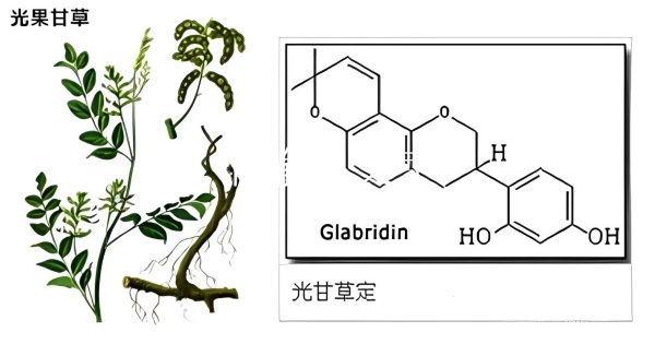 4_副本.jpg