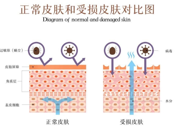 图片1(1)_副本.jpg